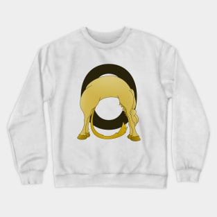 Pony Monogram Letter O Crewneck Sweatshirt